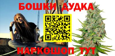 твердый Новодвинск