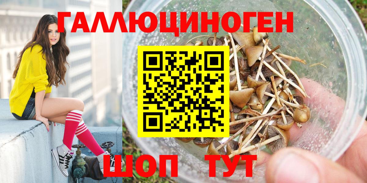 где можно купить наркотик  Псилоцибиновые грибы прущие грибы  Первоуральск  Вход с VPN  Псилоцибиновые грибы мицелий 